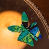 New Butterfly Pin-Psychedelic Butterflies